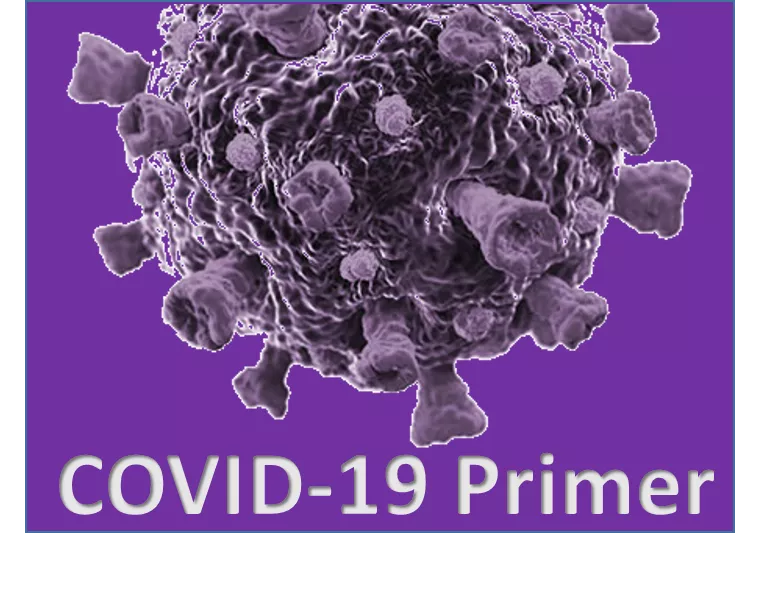 COVID-19 Primer